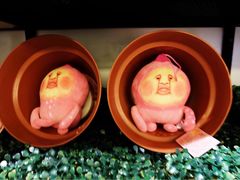 -点心代表DIM SUM ICON(中环店)