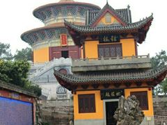 -铁山坪森林公园