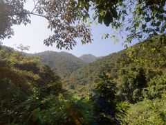 -羚羊峡古栈道森林公园