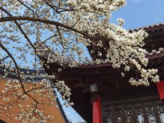 -灵谷景区