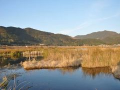 -腾冲北海湿地
