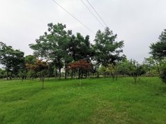 -尚贤河湿地