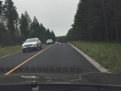 -塞罕坝国家级自然保护区