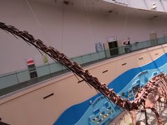 -陕西自然博物馆