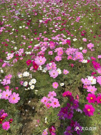 家门口的公园,之前晚上溜进来转过,没想到白天竟然这么