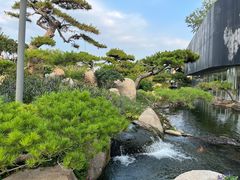 -罗红摄影艺术馆