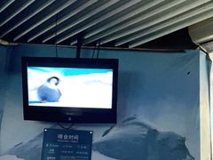 -上海海洋水族馆