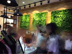 -巡茶(港区金科廊桥店)