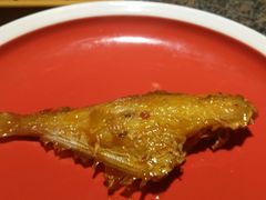 -酒肉行·虎子盐筋烤肉(大寨路店)