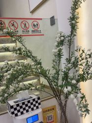 -MIDA蜜哒•科技逆龄美肤连锁