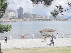-小麦岛公园