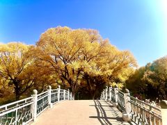 -满都海公园