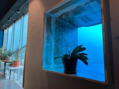 -半山腰·云南菜(侨福芳草地店)