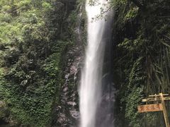 -莫里热带雨林景区