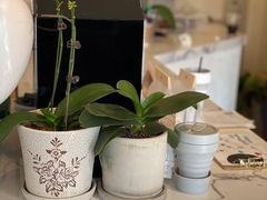 -LAB COFFEE来杯咖啡(浦仓路店)