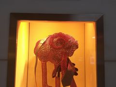 -Hermes爱马仕(成都远洋太古里店)