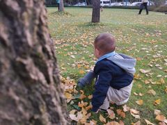 -思念果岭悦温泉