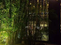 -三江森林温泉度假区