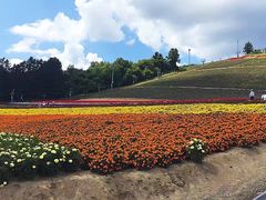 -富田农场