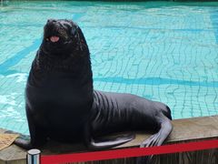 -合肥野生动物园