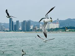-刘公岛景区