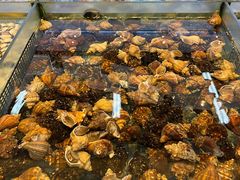 -金塘胜宴(石湾店)