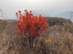 -Oasis Beauty水磨坊科技美肤中心