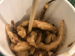 椒盐鱿鱼须-孖记茶档·热腾茶餐(江南西plus店)