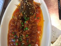 红烧碟鱼身-羊城酒店·中餐厅