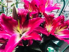 -头塘庄园(农家乐)