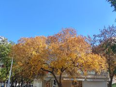 -好利来(槐中店)