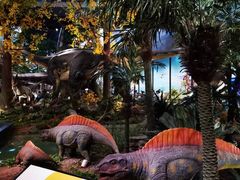 -湖南省地质博物馆