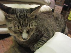 -武汉探路者国际青年旅舍