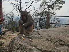 -黔灵山公园