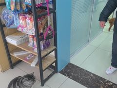 -全心全意连锁动物医院·微创中心·内科急重症·心脏专科(丰管路店)