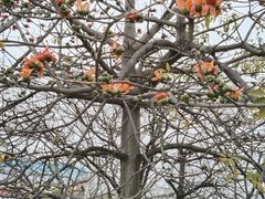 -怡海公园(桂城街道)