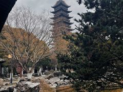 -常熟方塔园
