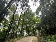 -莫干山风景区