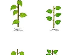 -悦藤爱托育早教中心(华凌公馆店)