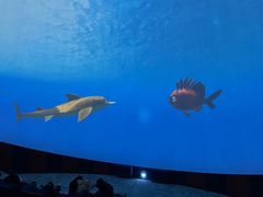 -苏州青少年科技馆