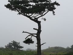 -涉地可支