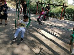 -原山国家森林公园