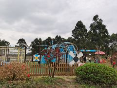 -空港花田景区