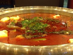 -宋记香辣蟹(曹家渡店)