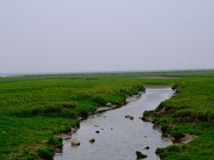 -湖南东洞庭湖国家级自然保护区