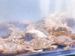 -甄品麦哲伦海鲜和牛自助(万达广场店)