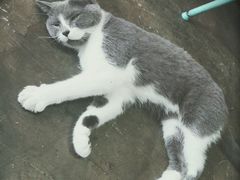 -MIKAKU(万达广场上海宝山店)