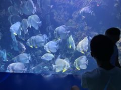 -南昌融创海世界