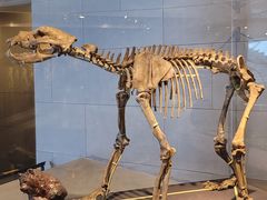 -北京周口店北京人遗址博物馆