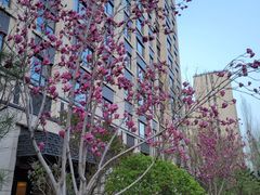 -大汗行宫园林餐厅